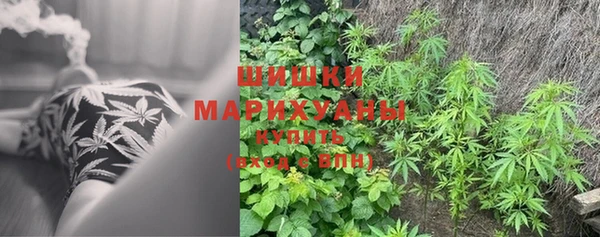 PSILOCYBIN Верхнеуральск