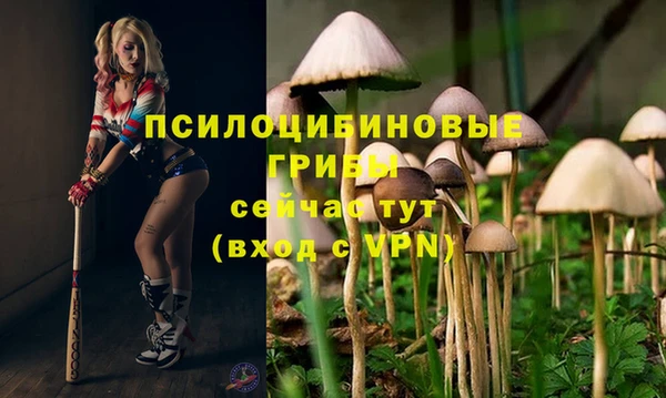 PSILOCYBIN Верхнеуральск